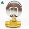 A 2.5Mpa pressure gauge with an oxygen bridge for pressure measurement details Picture